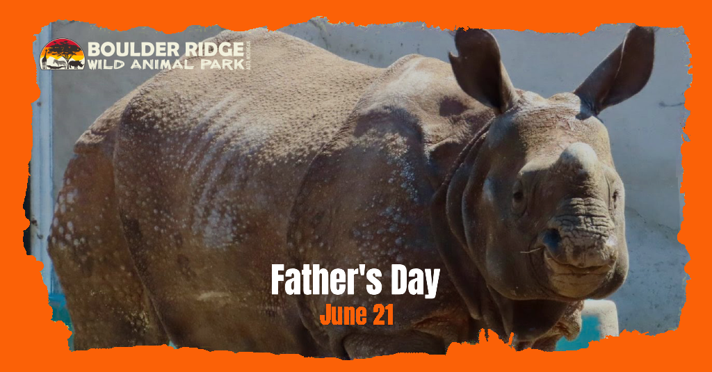 fathers-day-1