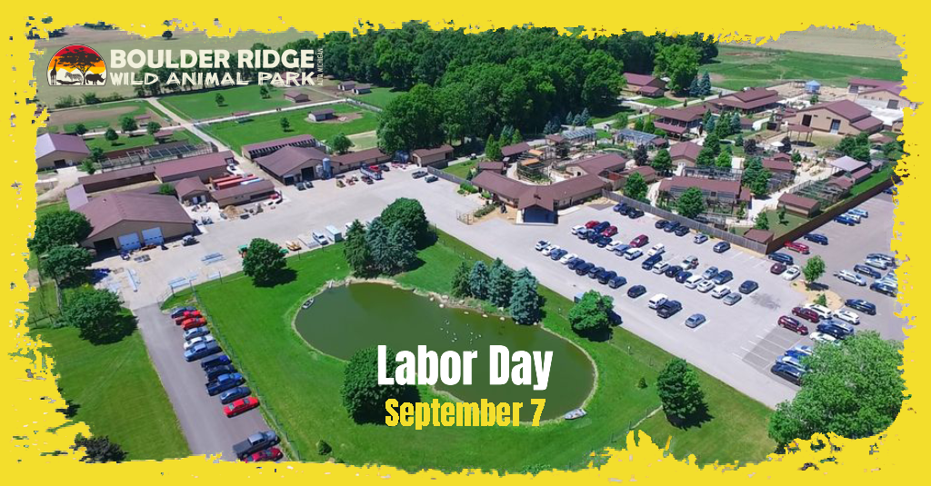 labor-day-1