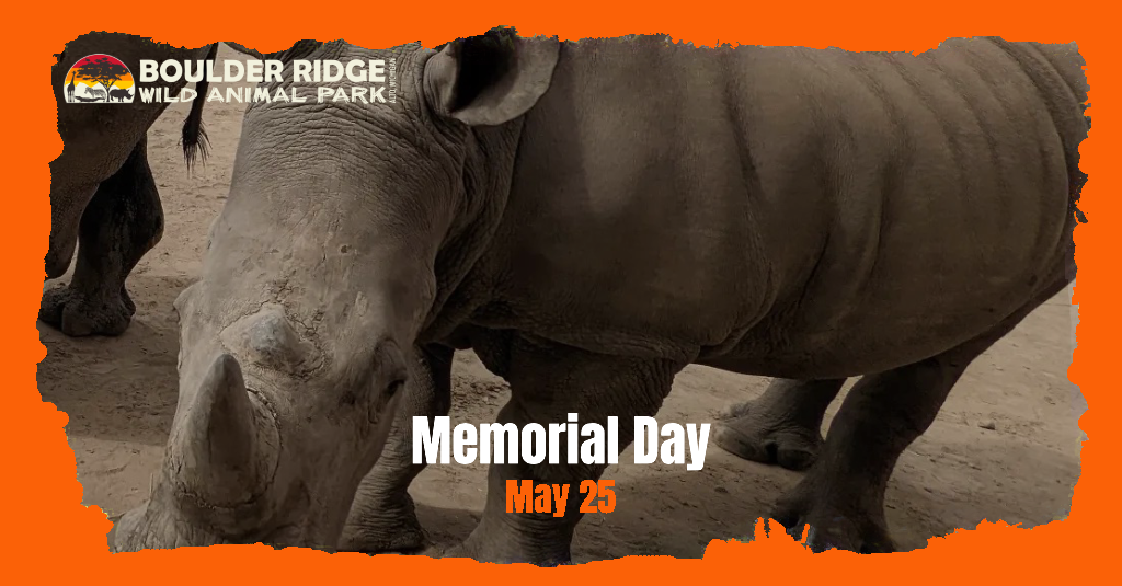 memorial-day-1