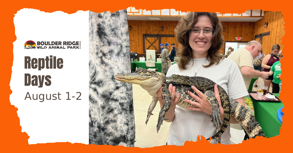 reptile-days-1